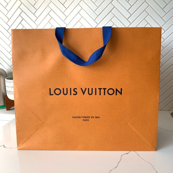louis vuitton store bag